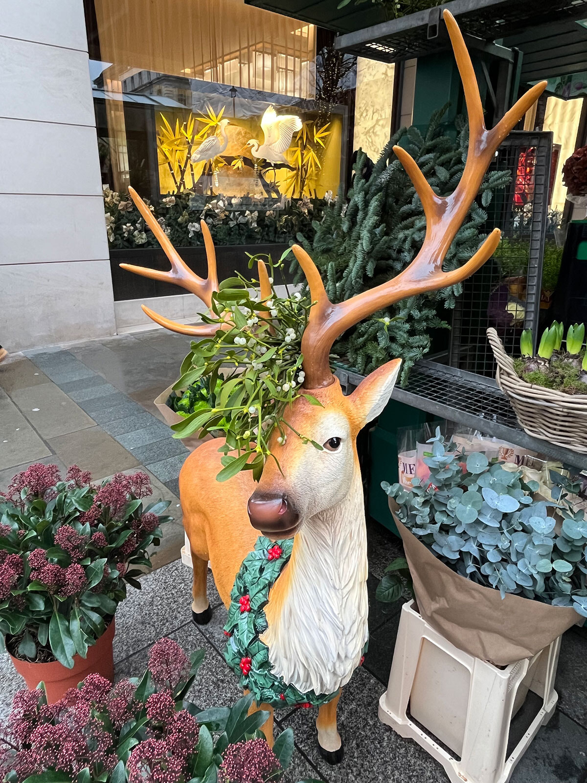 あふれんばかりの緑で飾る、英国の伝統的なクリスマス。｜世界は愉快